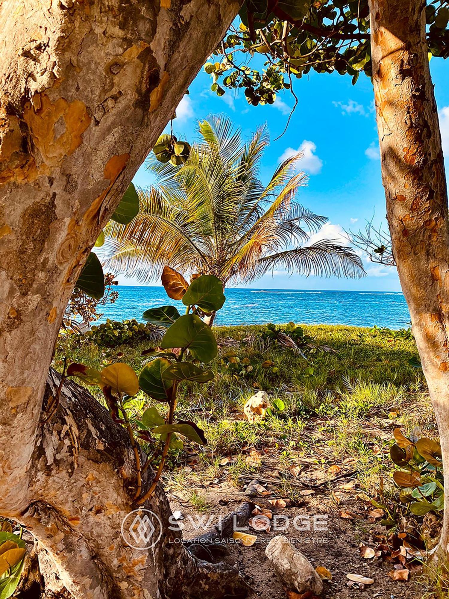 Swilodge Vue Sur Mer ! Petit Dejeuner Et Location De Voiture Possible Le Moule Exterior photo